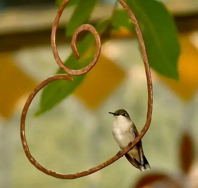 Fourovo Copper Heart Hummingbird Perch