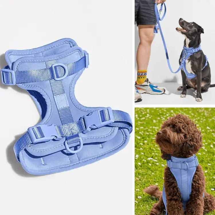 Fourovo Dog Harness Blue / XS