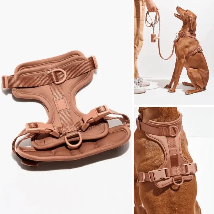 Fourovo Dog Harness Coffee / XS