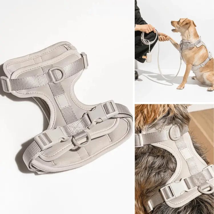 Fourovo Dog Harness Gray / XS