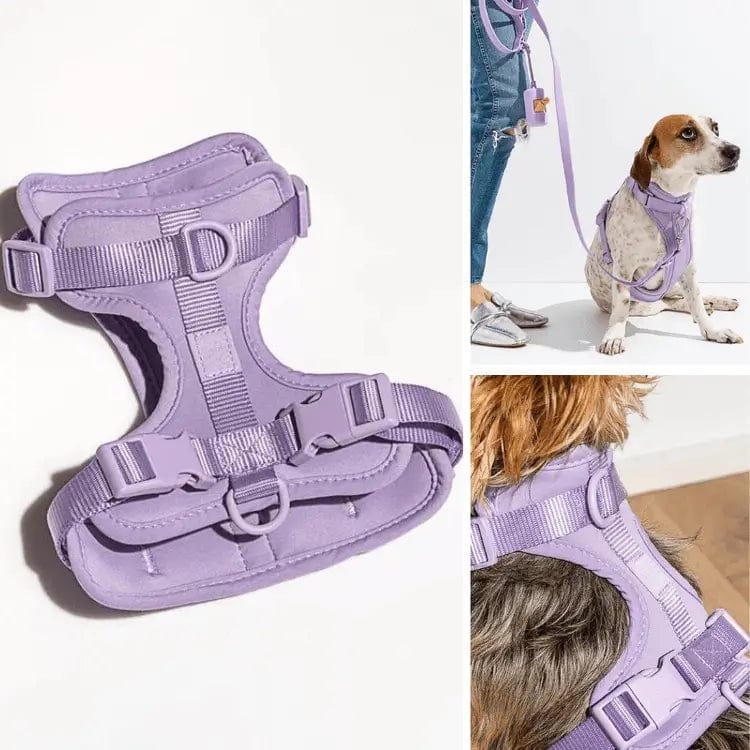 Fourovo Dog Harness Purple / XS