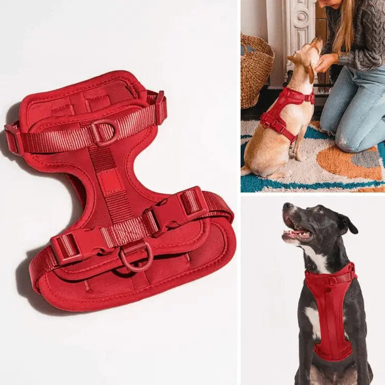 Fourovo Dog Harness Red / XS