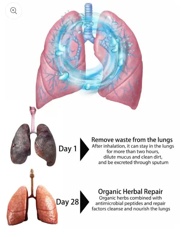 Fourovo Organic Herbal Lung Cleanse Repair Nasal Spray