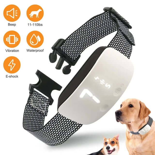 Fourovo Petootsy Dog Training Collar