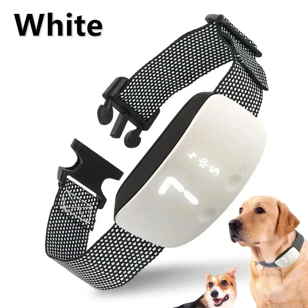 Fourovo Petootsy Dog Training Collar White