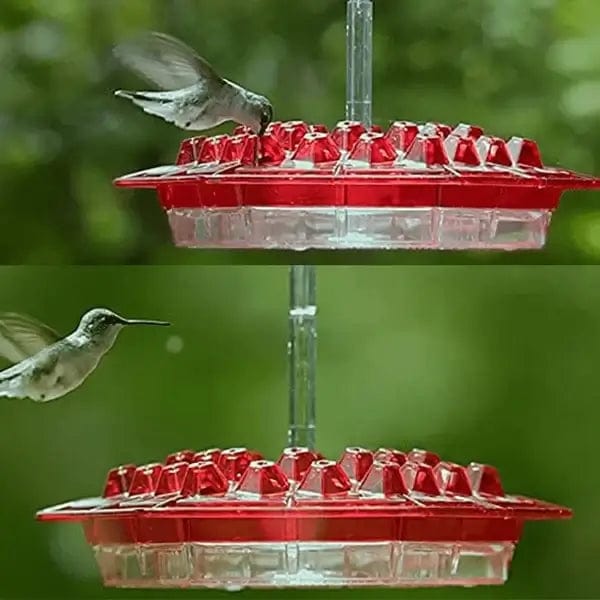 Fourovo Shirem Sweety Hummingbird Feeder