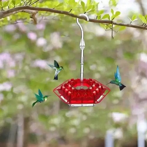 Fourovo Shirem Sweety Hummingbird Feeder Red