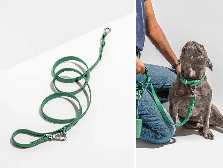 Fourovo Waterproof Leash for Dogs Armygreen