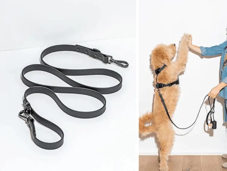 Fourovo Waterproof Leash for Dogs Black