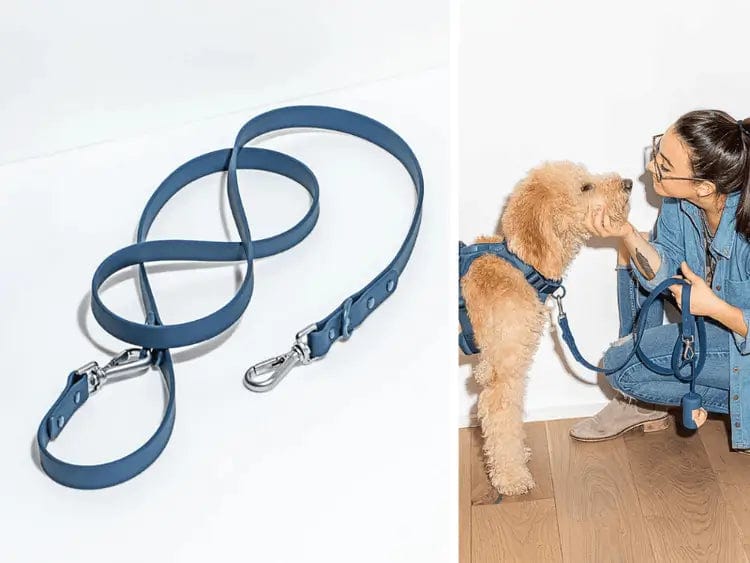 Fourovo Waterproof Leash for Dogs Blue