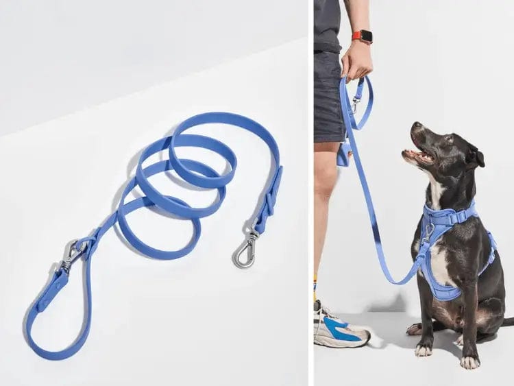 Fourovo Waterproof Leash for Dogs Burgundy