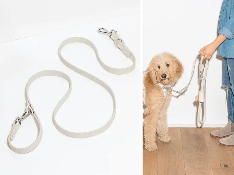 Fourovo Waterproof Leash for Dogs Gray