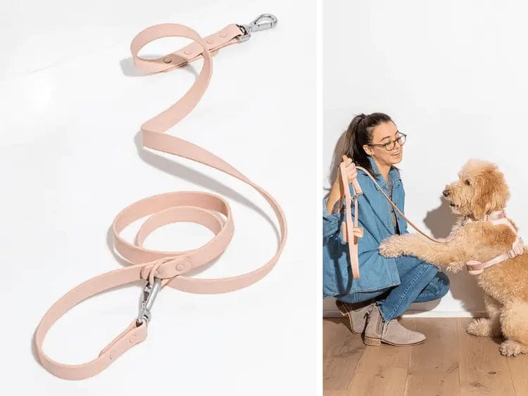 Fourovo Waterproof Leash for Dogs Pink