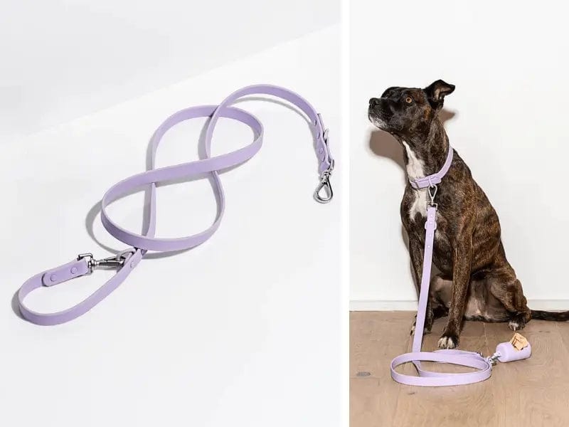 Fourovo Waterproof Leash for Dogs Purple