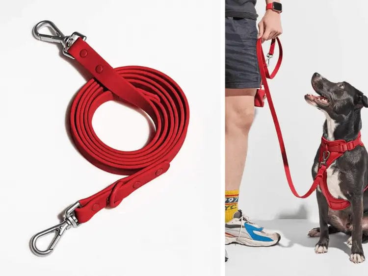 Fourovo Waterproof Leash for Dogs Red